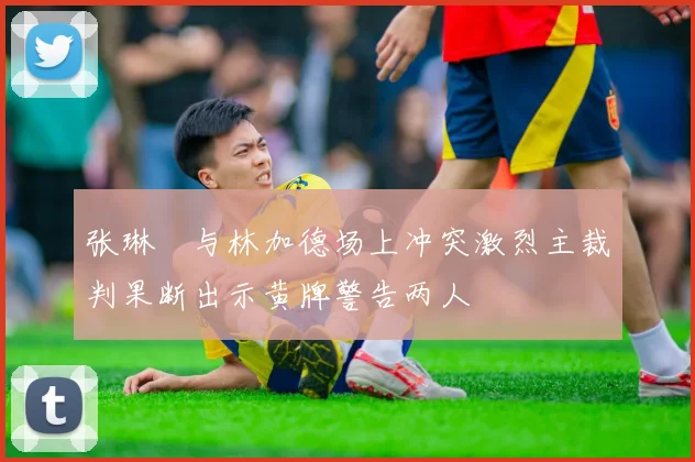 张琳芃与林加德场上冲突激烈主裁判果断出示黄牌警告两人