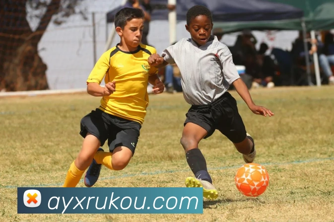 爱游戏服务体系